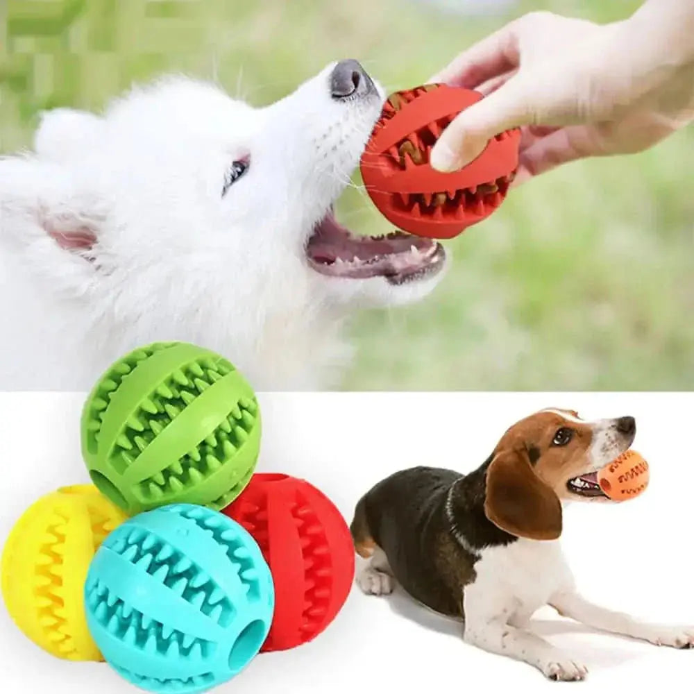 Pet Entertainment: Interactive Toy Balls for Endless Fun!