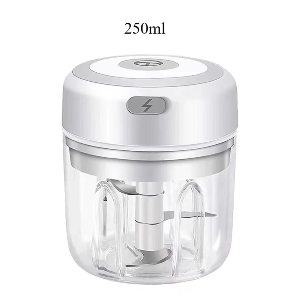 Electric Garlic Mincer 250ML USB Mini Vegetable & Food Chopper