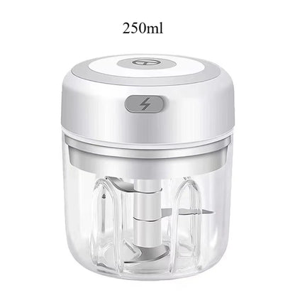 Electric Garlic Mincer 250ML USB Mini Vegetable & Food Chopper