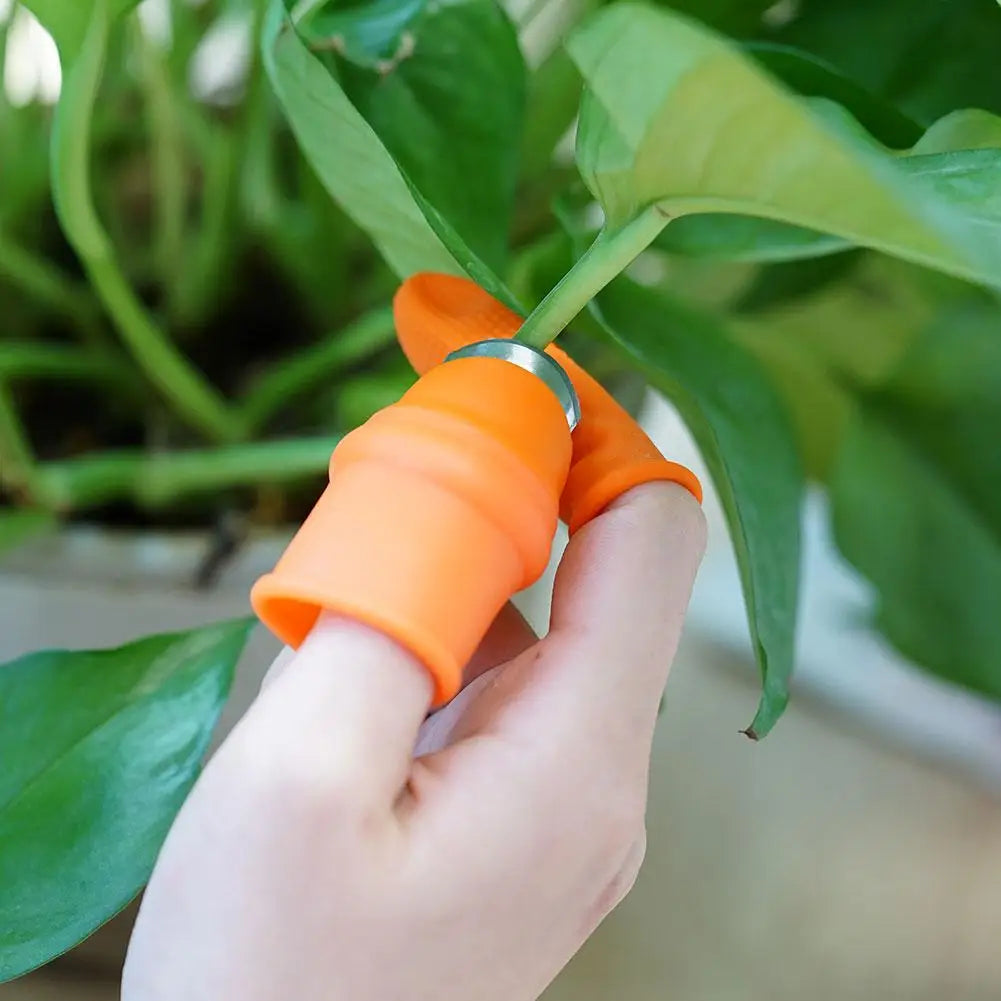 Silicone Thumb Knife with Finger Protector for Vegetable Harvesting