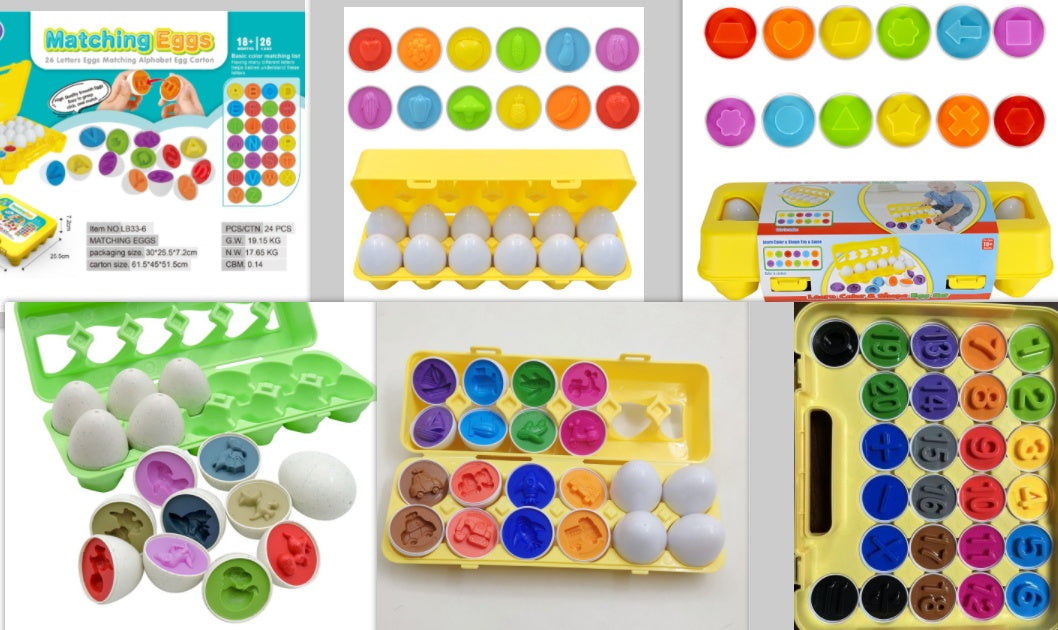 Montessori Shape Matching Egg Toy